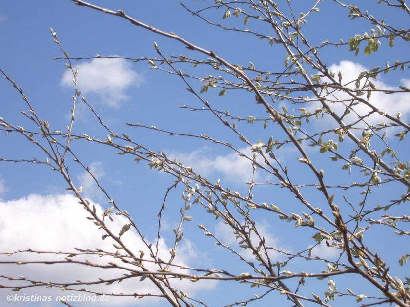 Bayerischer Himmel - blauer Himmel mit Wölkchen