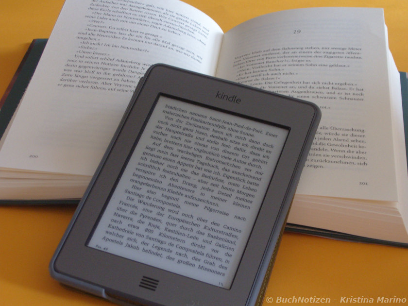 Gedrucktes Buch und Kindle