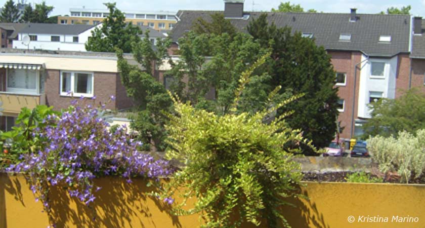 Ein Blick von meinem Balkon