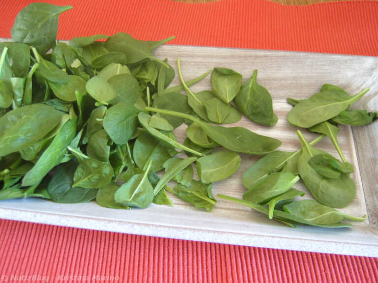 Grüne Pasta selber machen – so einfach geht es! Grüne Pasta selber machen – so einfach geht es!