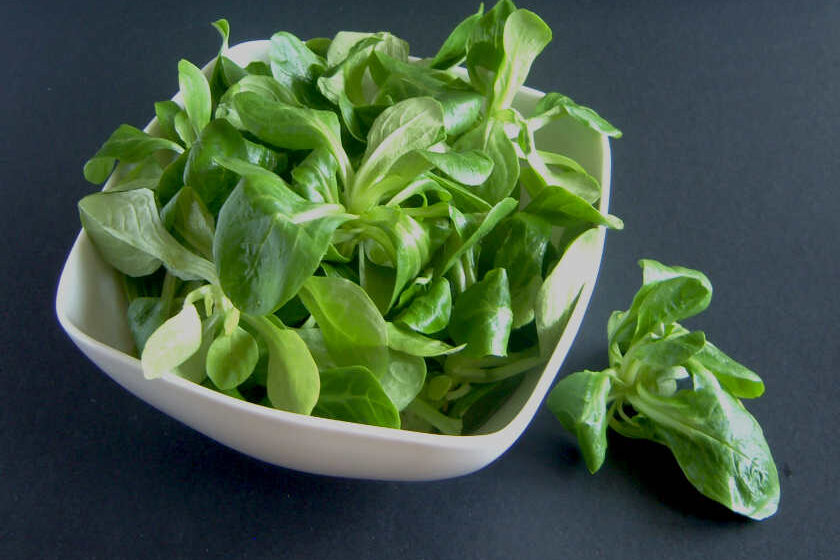 Feldsalat
